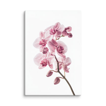 Tableau Zen Orchidée Rose Affiches, reproductions et œuvres graphiques Art Virtuoso XL  