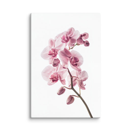 Tableau Zen Orchidée Rose