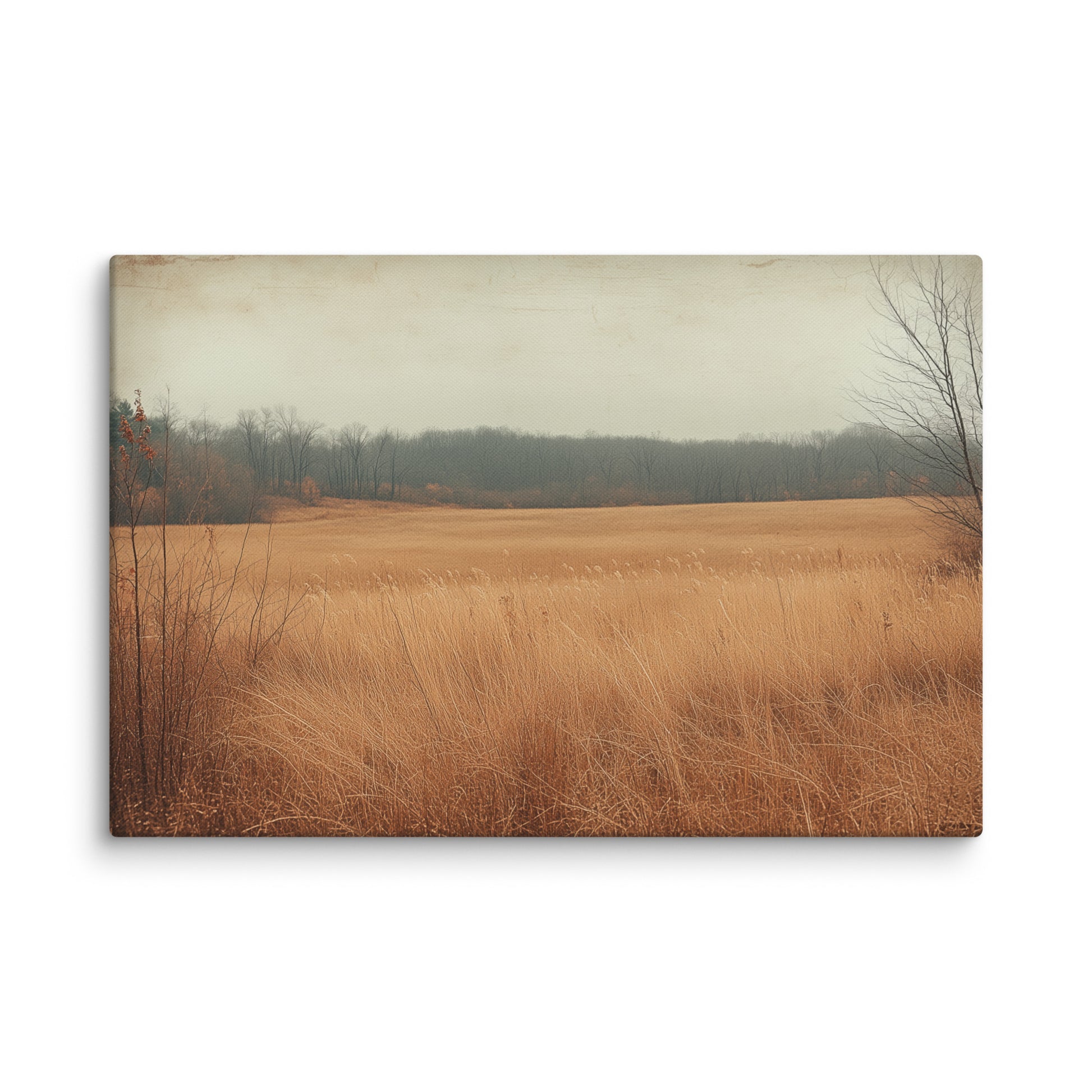 Tableau Paysage Simple - Champ d'Or Automnal Affiches, reproductions et œuvres graphiques Art Virtuoso XL  