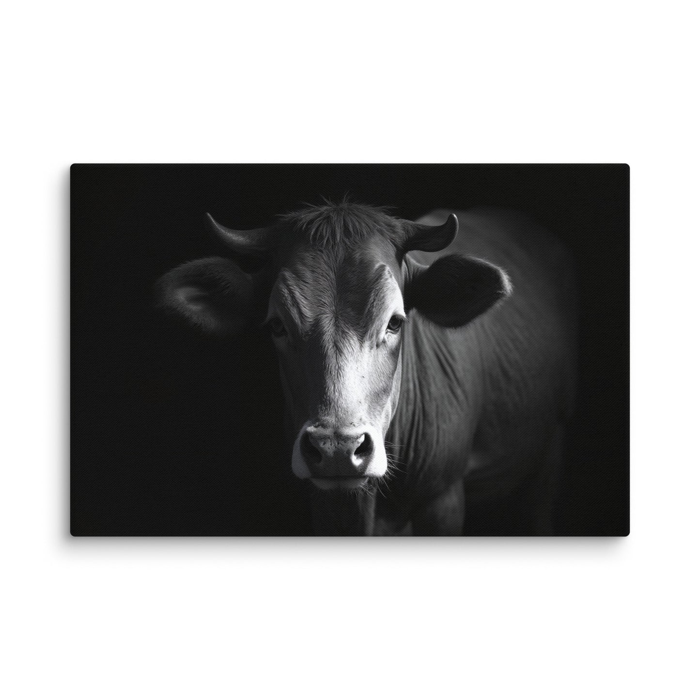 Tableau Photo Vache - Regard Bovin Affiches, reproductions et œuvres graphiques Art Virtuoso XL