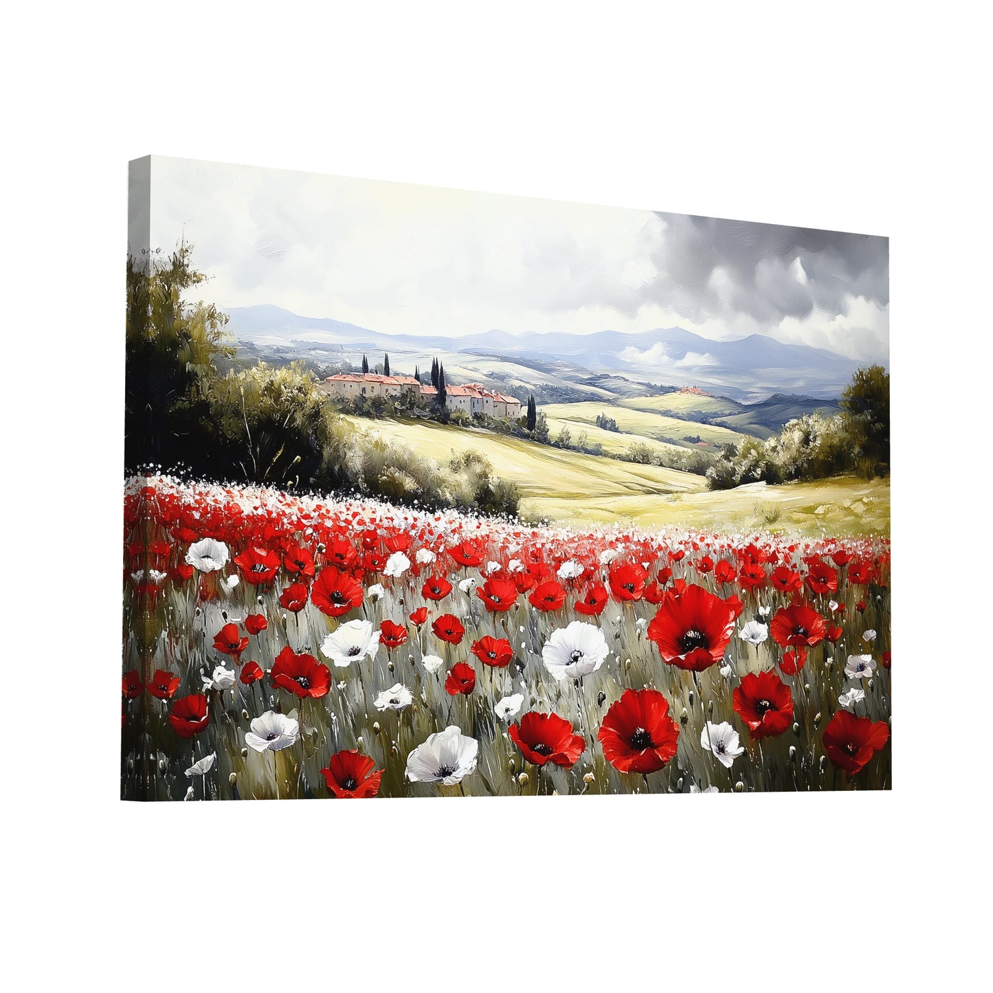Product Hero 3D WebP Coquelicot en peinture - Vision Colorée - Art Virtuoso