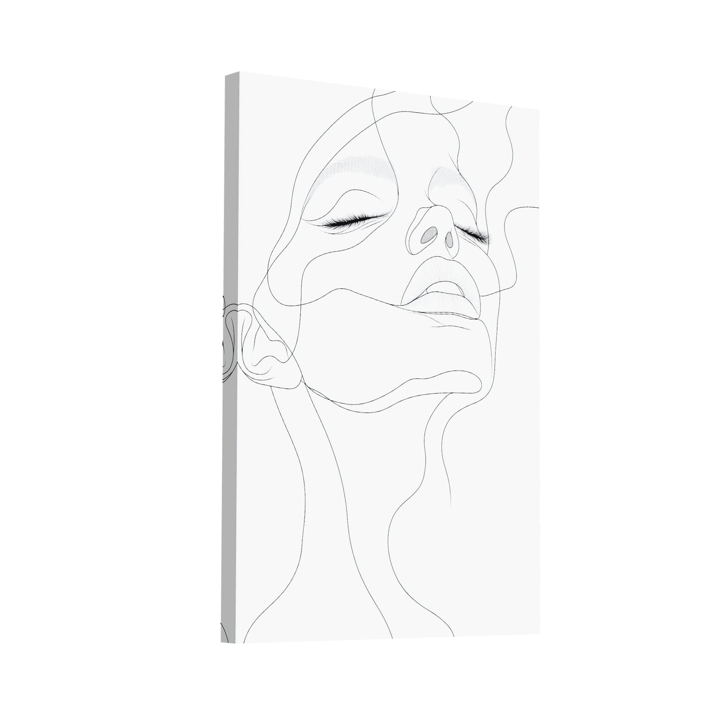 Product Hero 3D WebP Toile Dessin Minimaliste Femme - Art Virtuoso