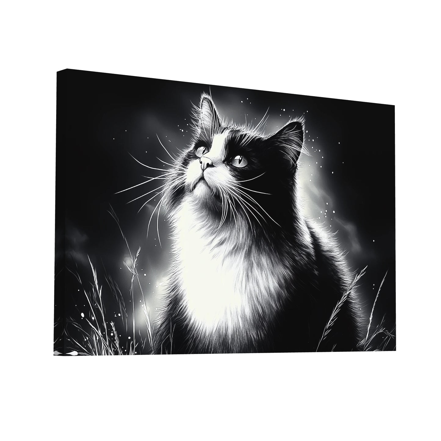 Product Hero 3D WebP Tableau Peinture Chat Noir et Blanc - Rêverie Nocturne - Art Virtuoso