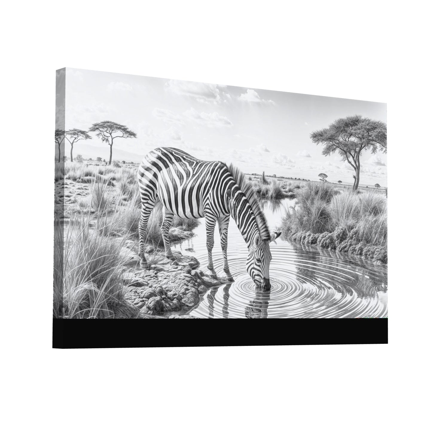 Product Hero 3D WebP Peinture Zèbre Noir et Blanc - Art Virtuoso