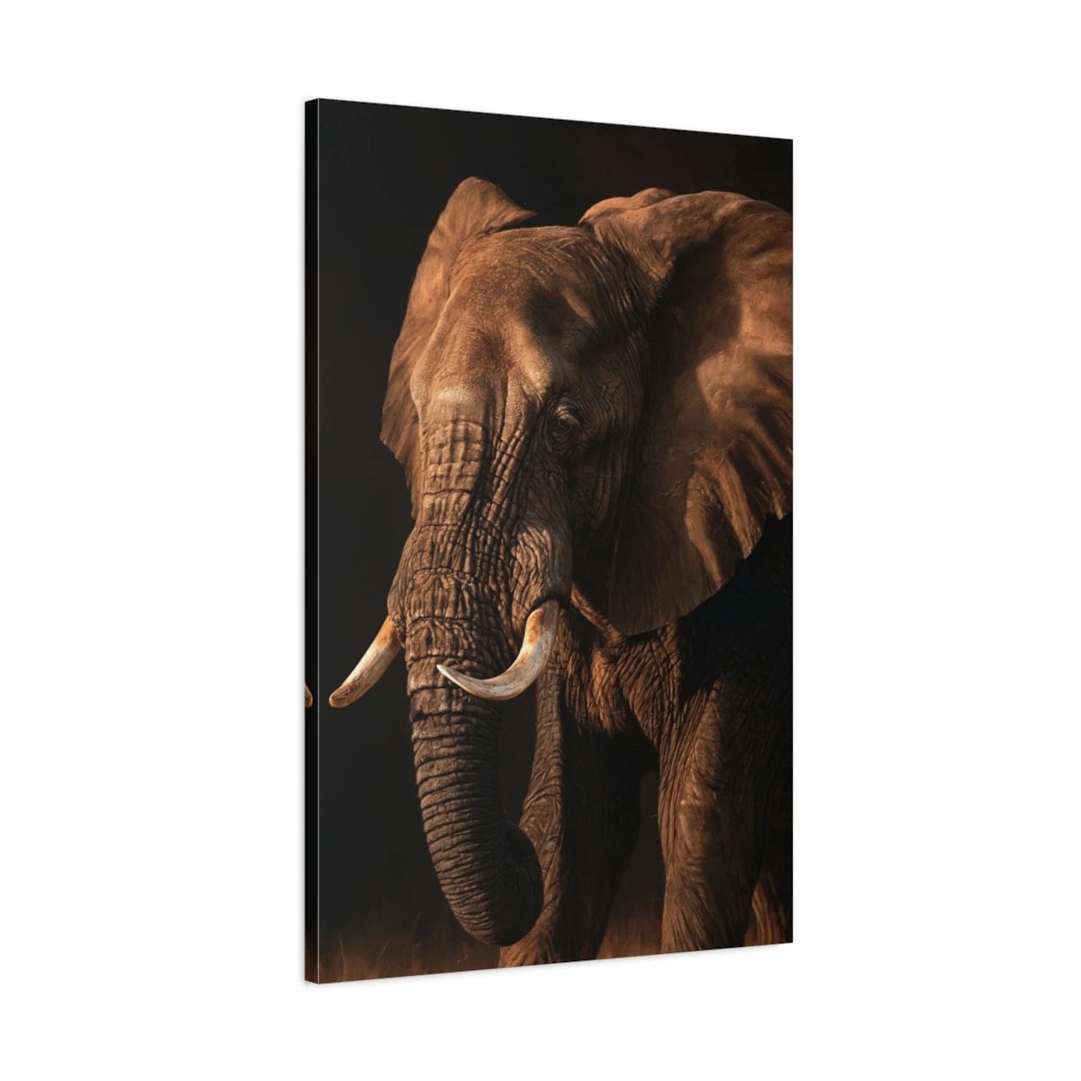 Portrait Éléphant Chiaroscuro - toile 3D avec bords imprimés - Art Virtuoso