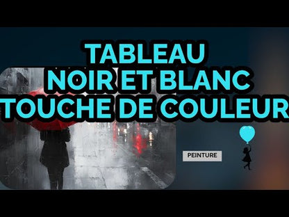 Tableau Noir et Blanc Avec Touche de Couleur