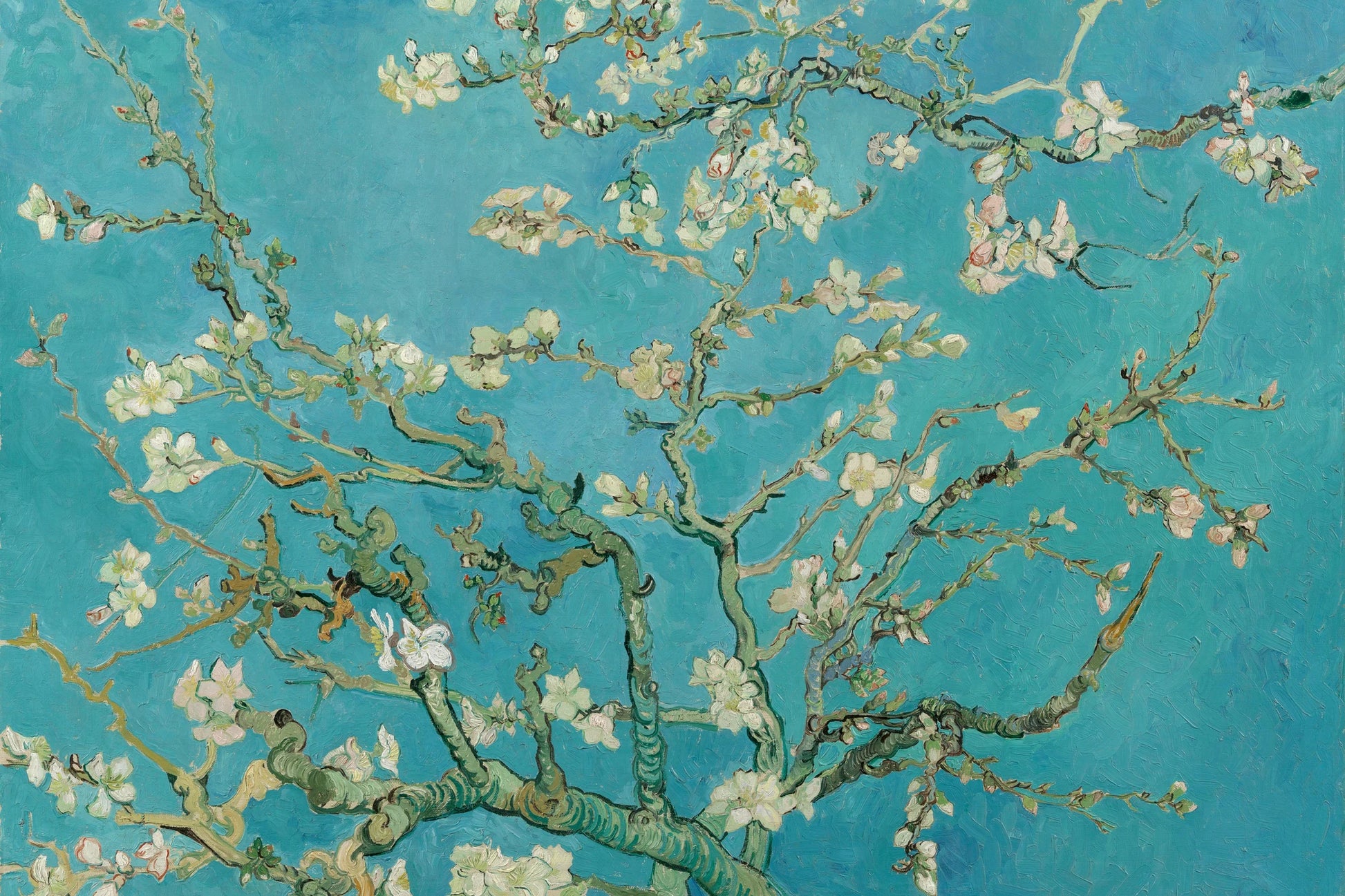 Tableau Amandier en fleurs – Vincent van Gogh – reproduction sur toile, format S