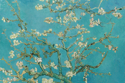 Tableau Amandier en fleurs – Vincent van Gogh – reproduction sur toile, format S