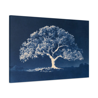 Tableau Arbre de Vie Cyanotype, vue latérale de la toile avec bords imprimés - Art Virtuoso