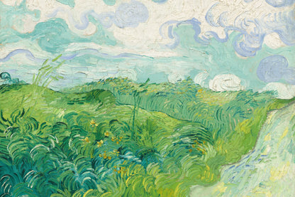 Tableau Champs de blé verts, Auvers – Vincent van Gogh – reproduction sur toile, format M
