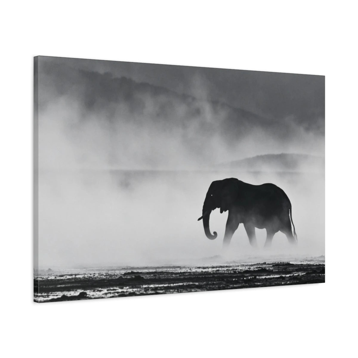 Tableau Éléphant Dans la Brume - toile 3D avec bords imprimés - Art Virtuoso