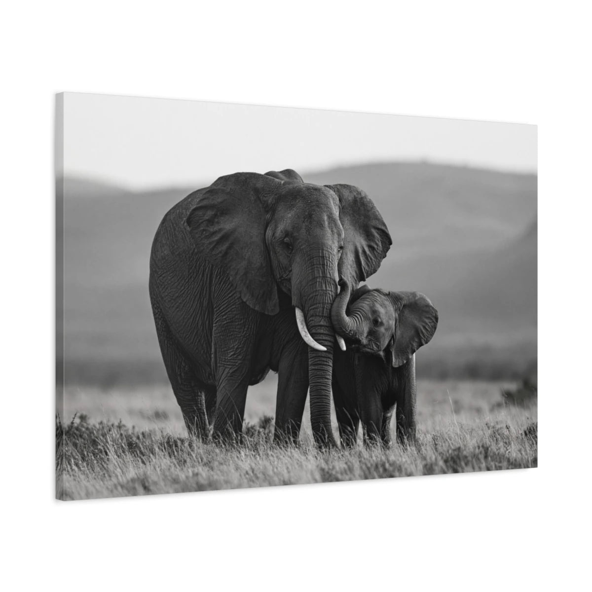 Tableau Éléphant et Éléphanteau Noir et Blanc - toile 3D avec bords imprimés - Art Virtuoso