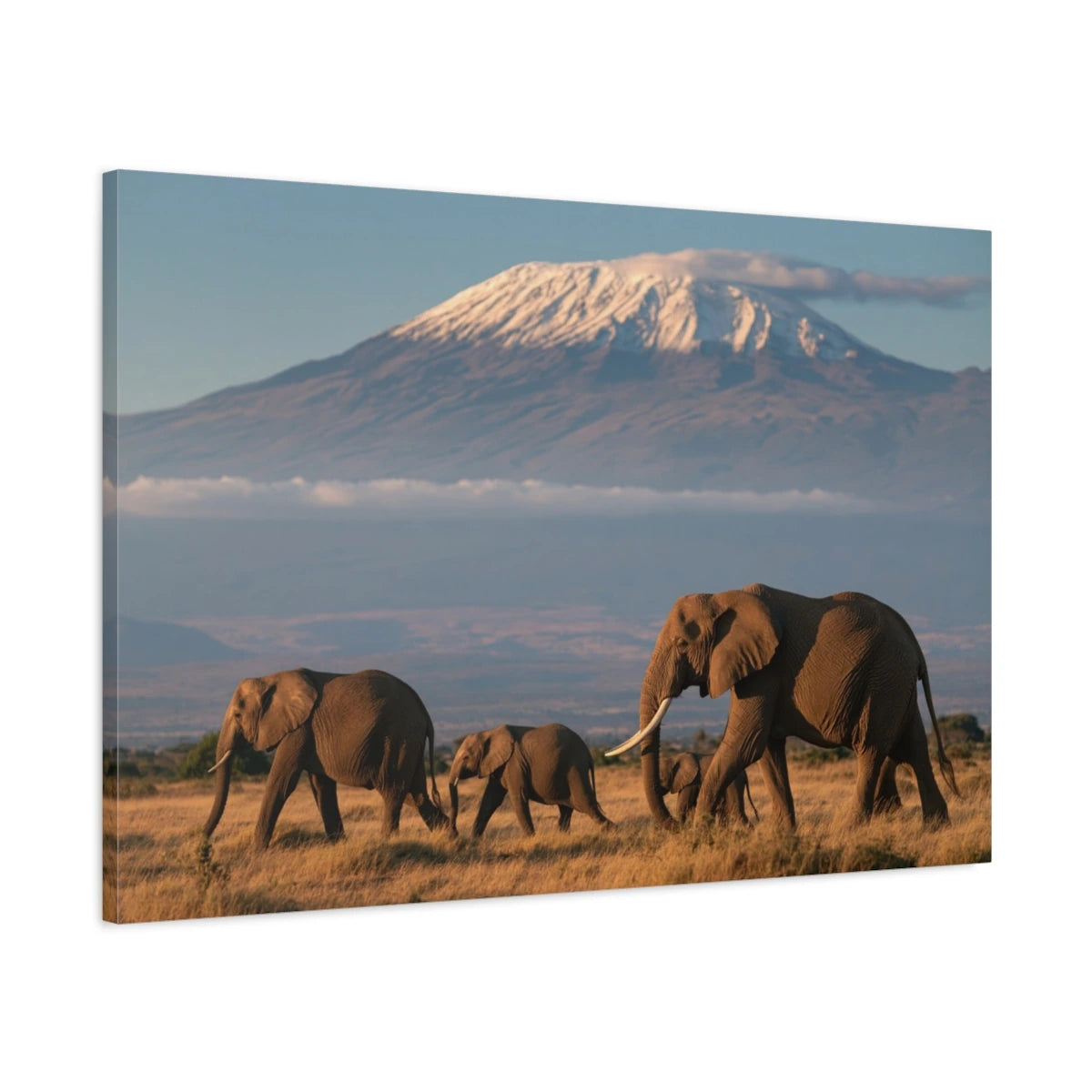 Tableau Éléphant Kilimandjaro - toile 3D avec bords imprimés - Art Virtuoso