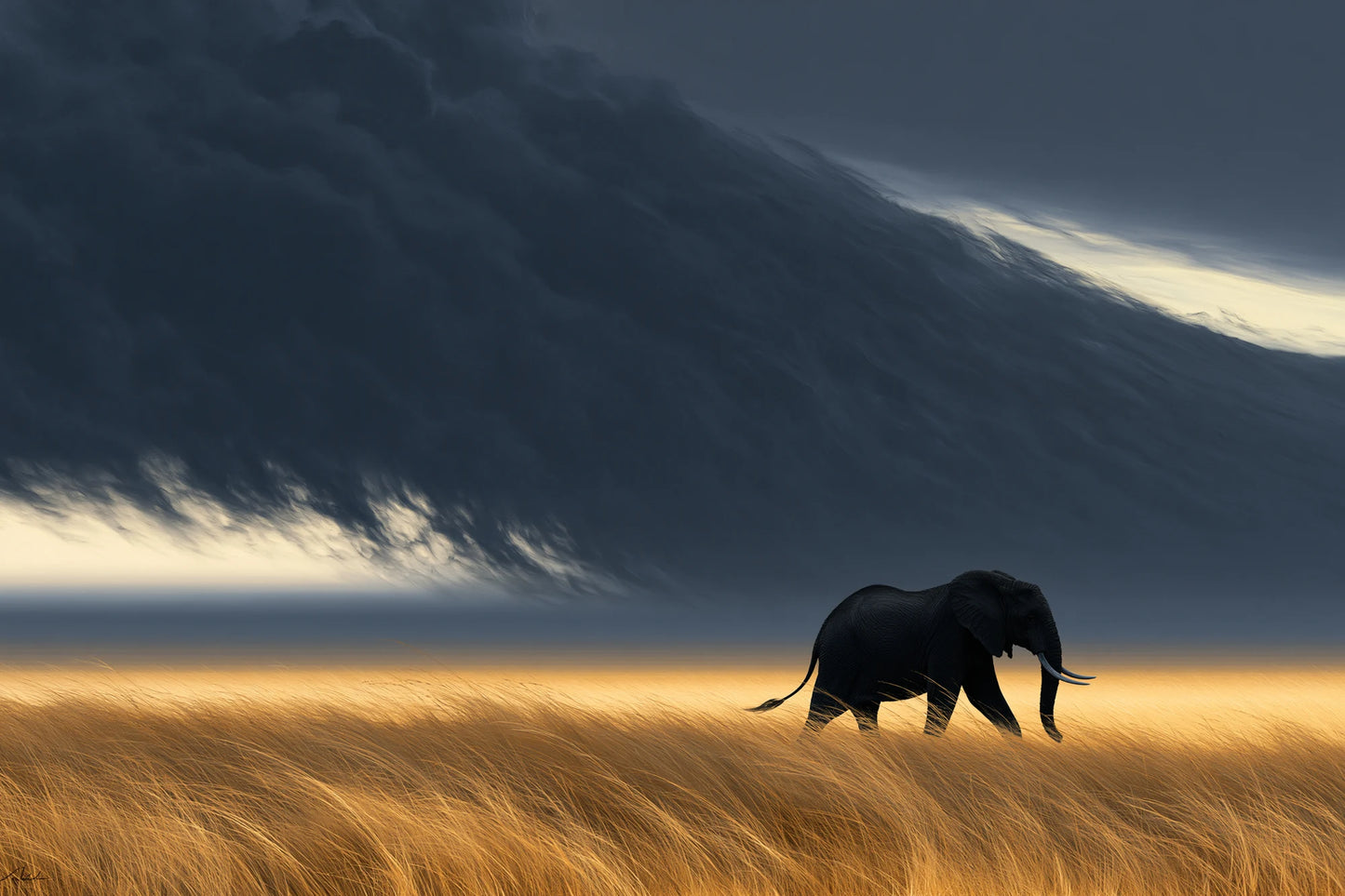 Tableau Éléphant Orage - impression sur toile, format S