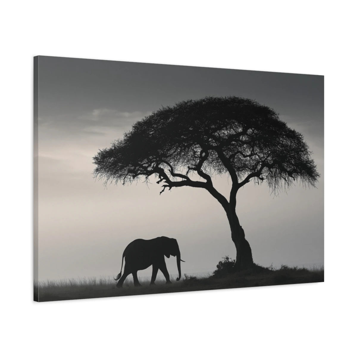 Tableau Éléphant Savane Noir et Blanc - toile 3D avec bords imprimés - Art Virtuoso