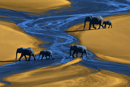 Tableau Éléphants Vue Aérienne - impression sur toile, format L