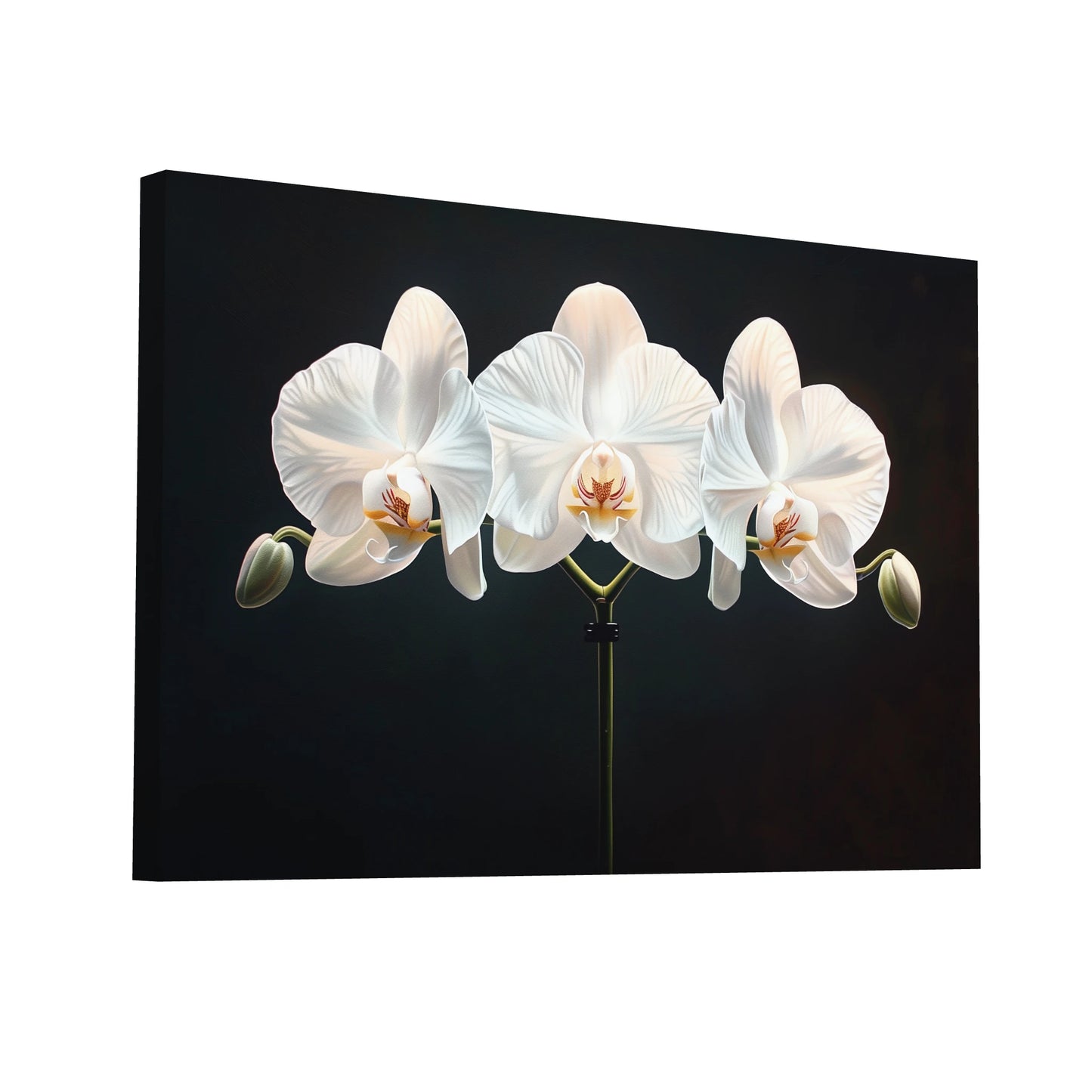 Product Hero 3D WebP Tableau Fleurs Sur Fond Noir - Orchidées Blanches - Art Virtuoso