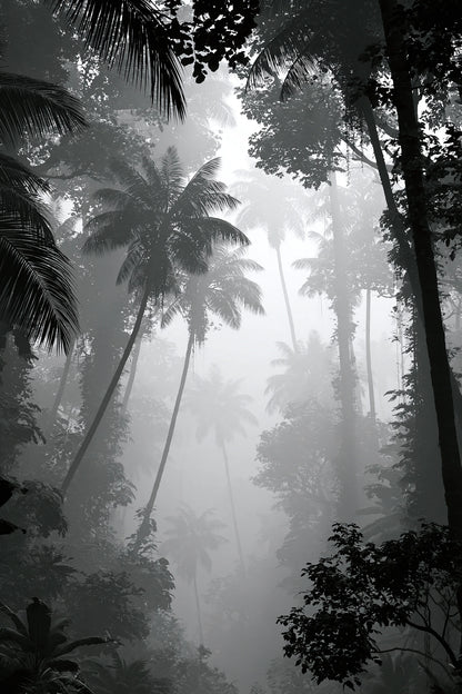 Tableau Jungle Tropicale Noir et Blanc - jungle tropicale noir et blanc avec palmiers dans la brume - format XL