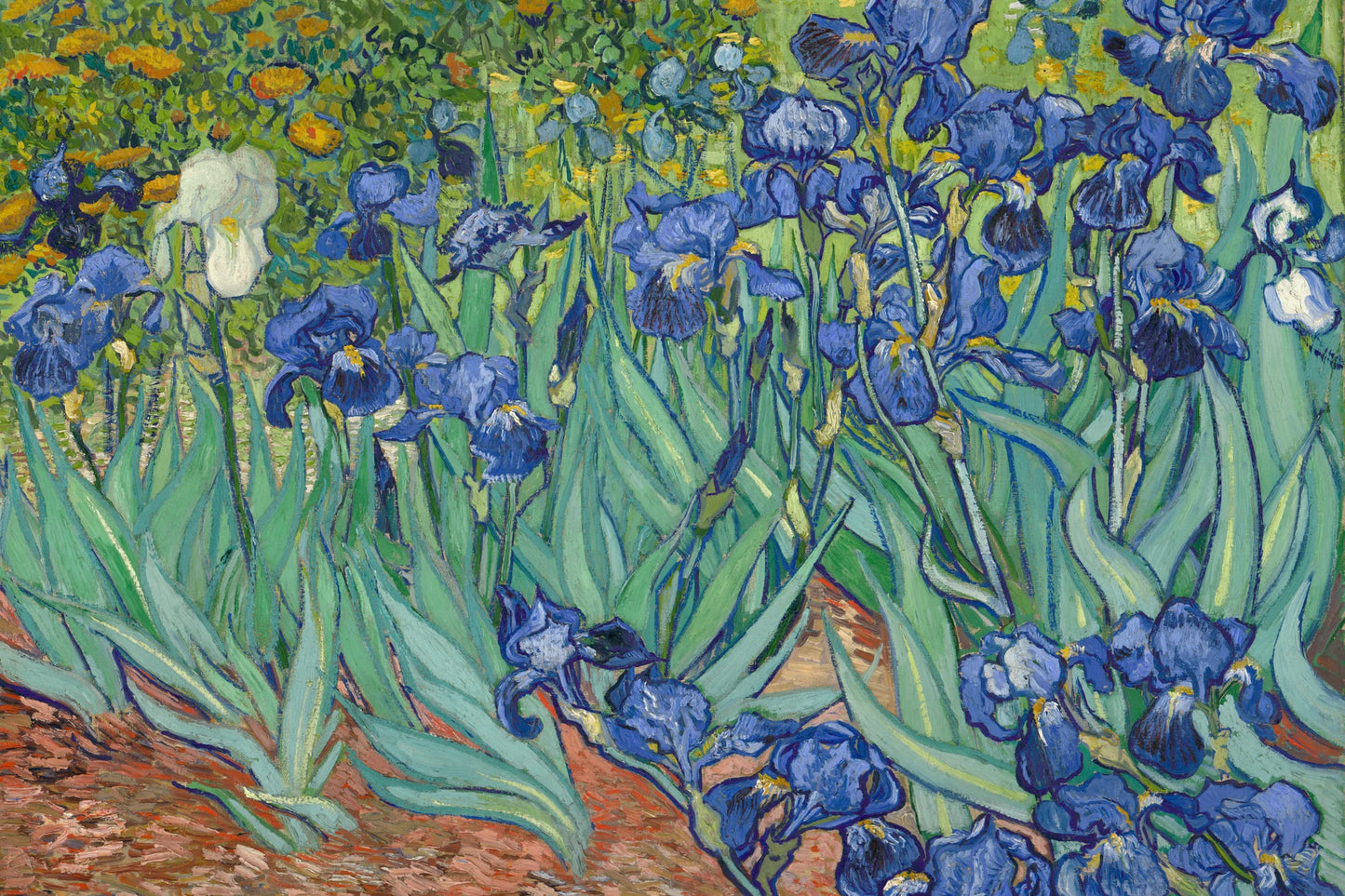 Tableau Les Iris – Vincent van Gogh – reproduction sur toile, format S