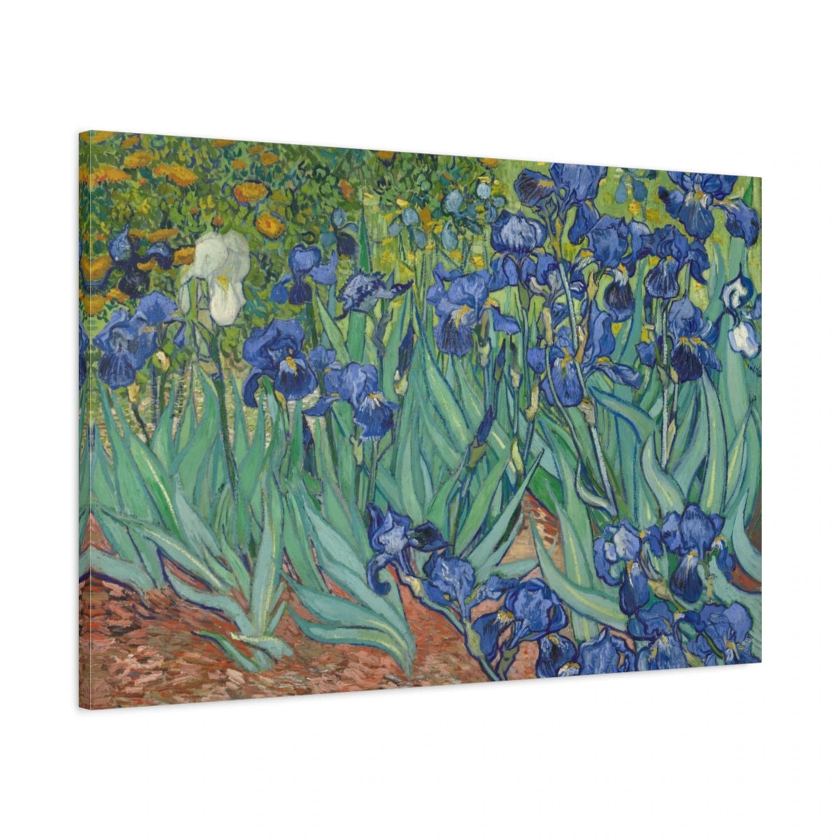 Tableau Les Iris – Vincent van Gogh - toile 3D avec bords imprimés - Art Virtuoso