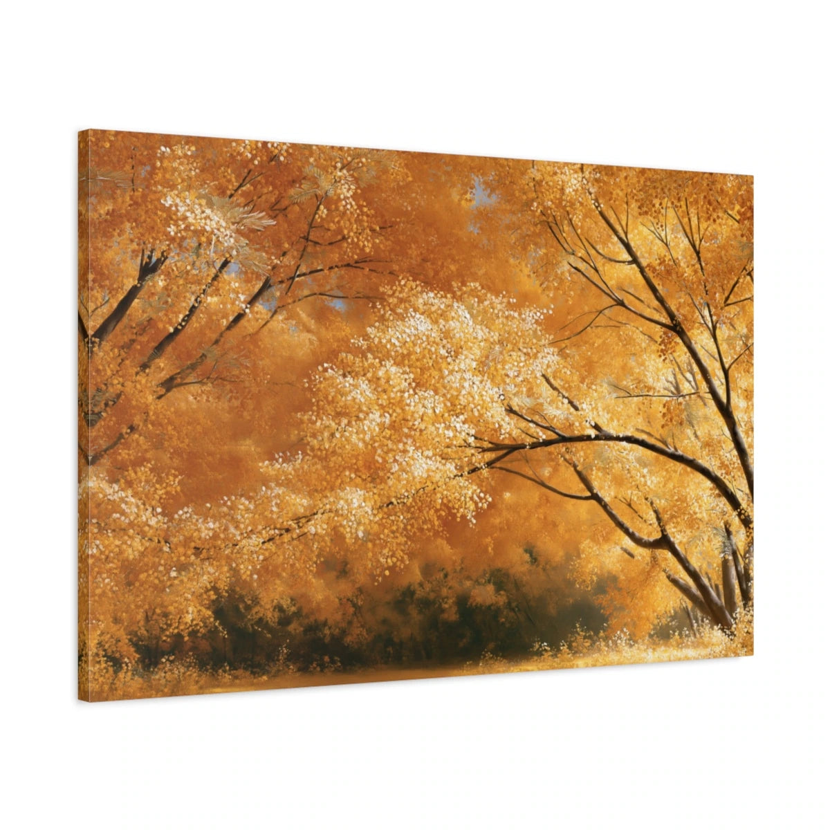 Tableau Mimosa Jaune Panoramique - Colline en Fleurs - toile 3D avec bords imprimés - Art Virtuoso