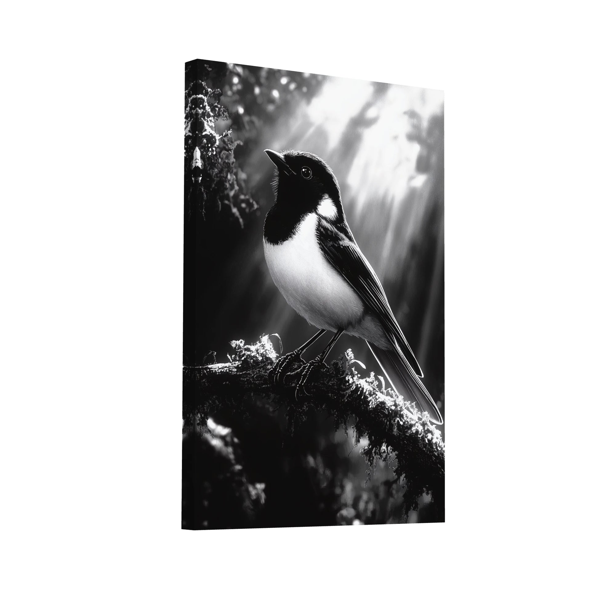 Product Hero 3D WebP Tableau Oiseau Noir et Blanc Poétique - Art Virtuoso