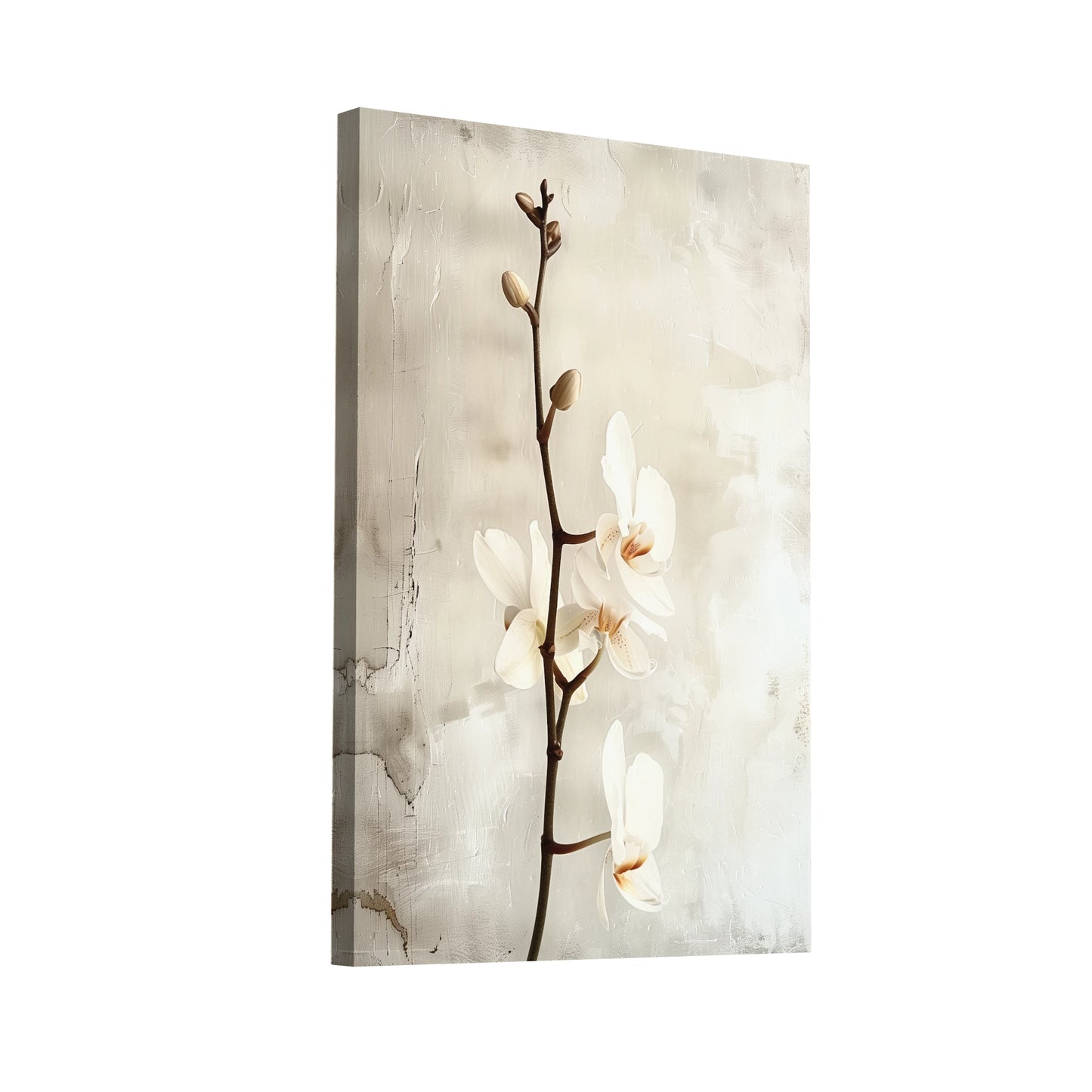 Product Hero 3D WebP Tableau Orchidée Blanche - Art Virtuoso