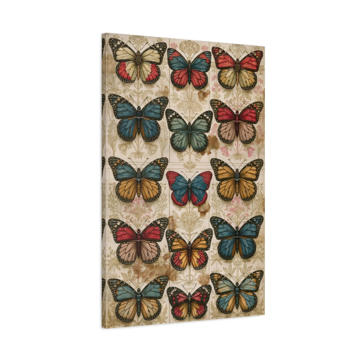 Tableau collection de papillons façon cabinet de curiosités - toile 3D avec bords imprimés visibles