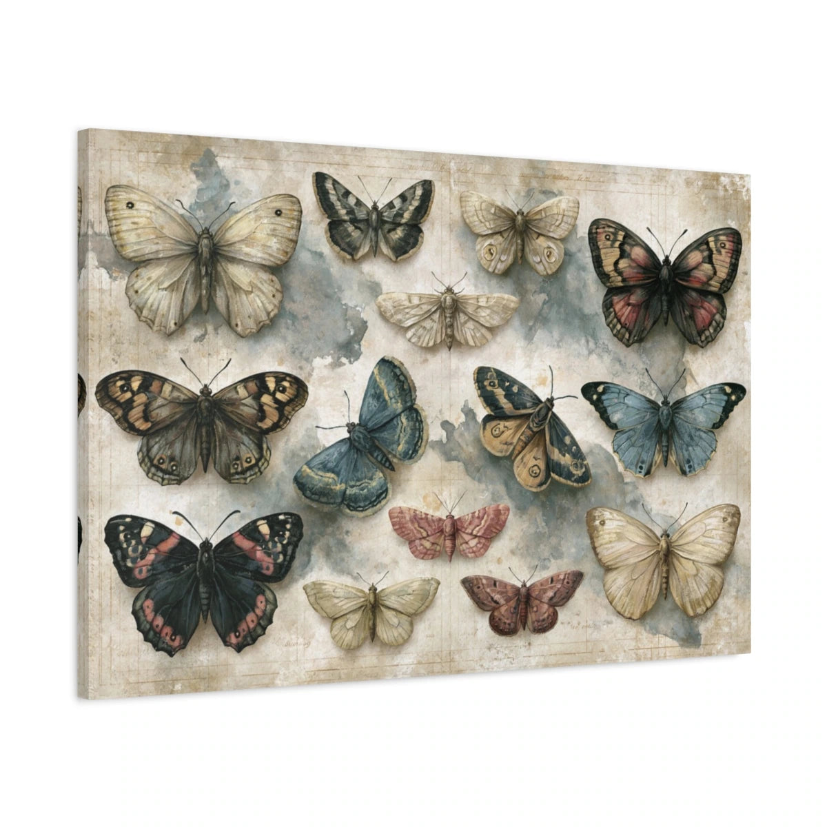 Tableau papillons naturalistes sur fond clair vintage - toile 3D avec bords imprimés visibles