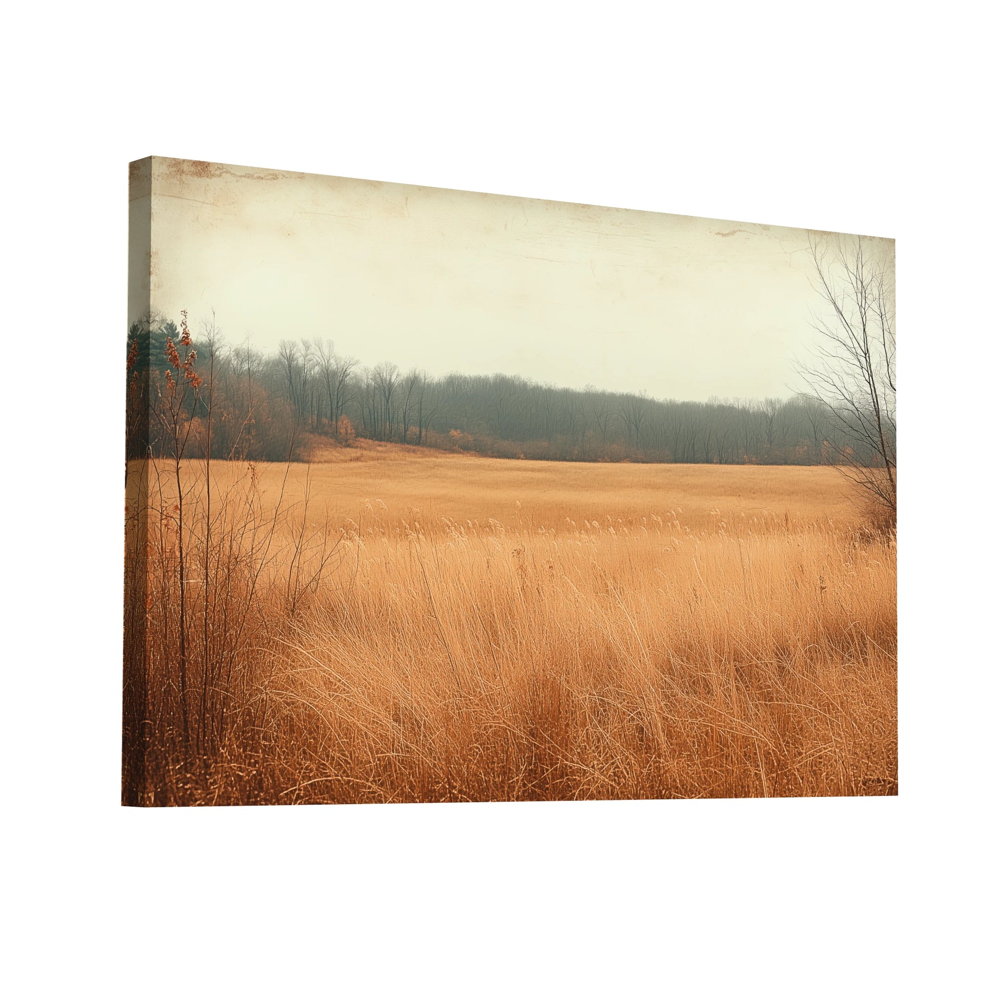 Product Hero 3D WebP Tableau Paysage Simple - Champ d'Or Automnal - Art Virtuoso