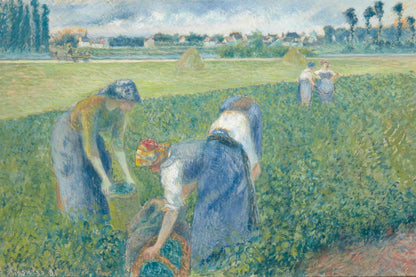 Tableau Paysannes travaillant dans les champs, Pontoise – Camille Pissarro - impression sur toile, format M