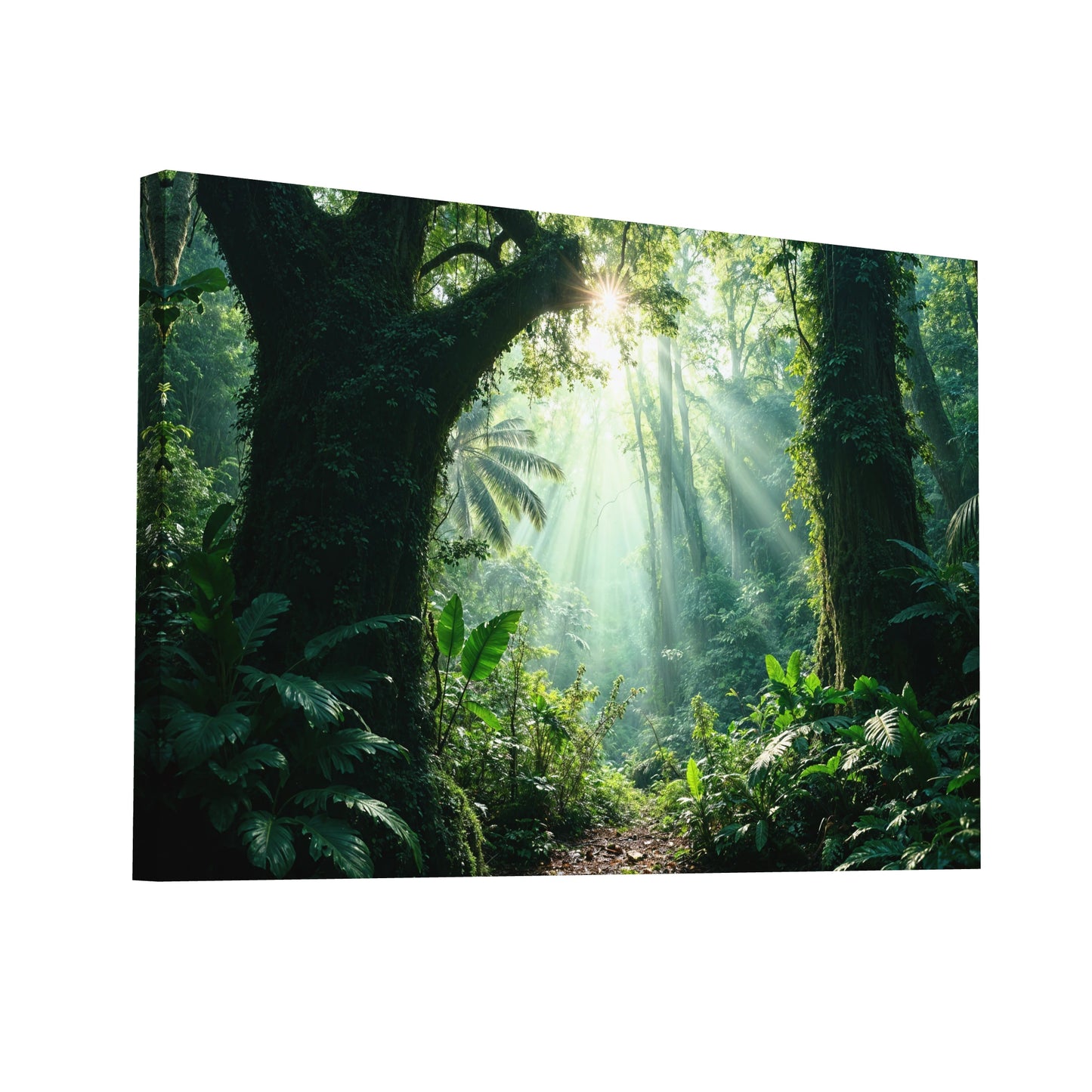 Product Hero 3D WebP Tableau Photo Jungle - Trouée de Lumière - Art Virtuoso