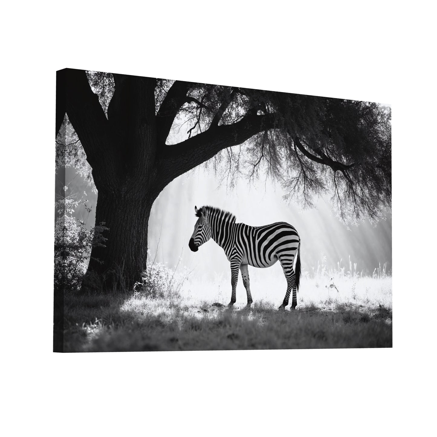 Product Hero 3D WebP Tableau Photo Zèbre - Silhouette Sauvage - Art Virtuoso