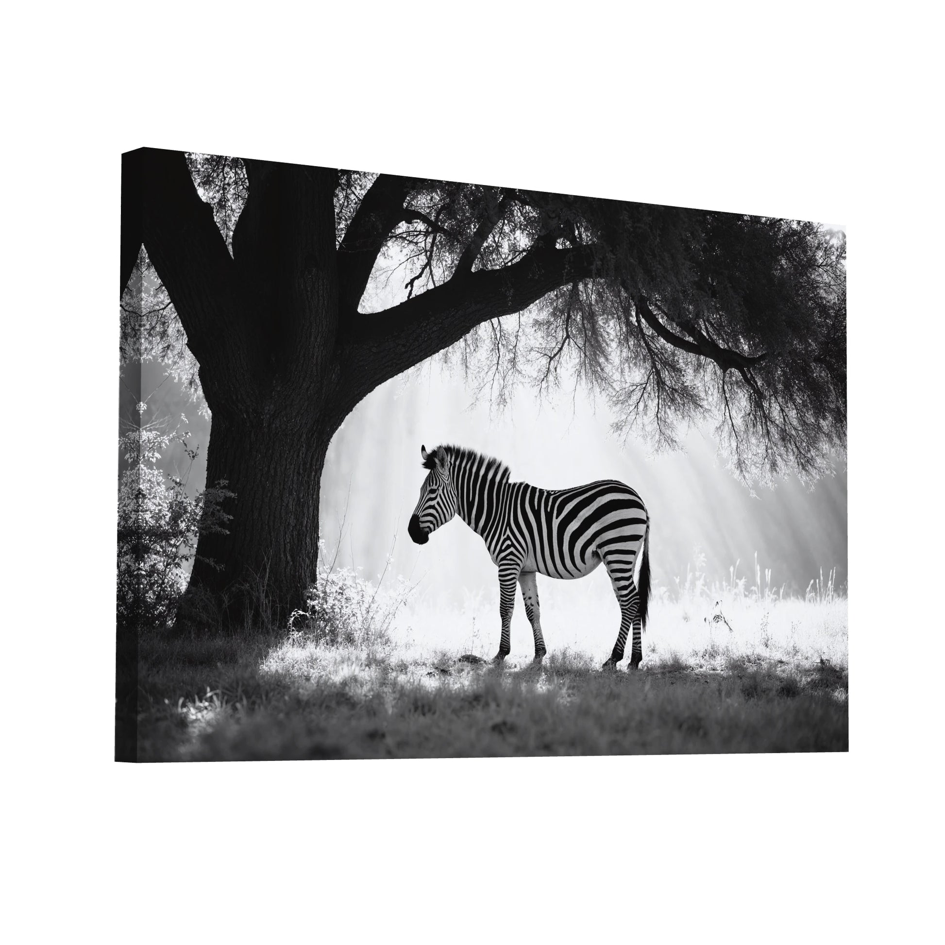 Product Hero 3D WebP Tableau Photo Zèbre - Silhouette Sauvage - Art Virtuoso