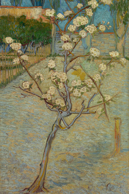 Tableau Petit poirier en fleurs – Vincent van Gogh – reproduction sur toile, format L