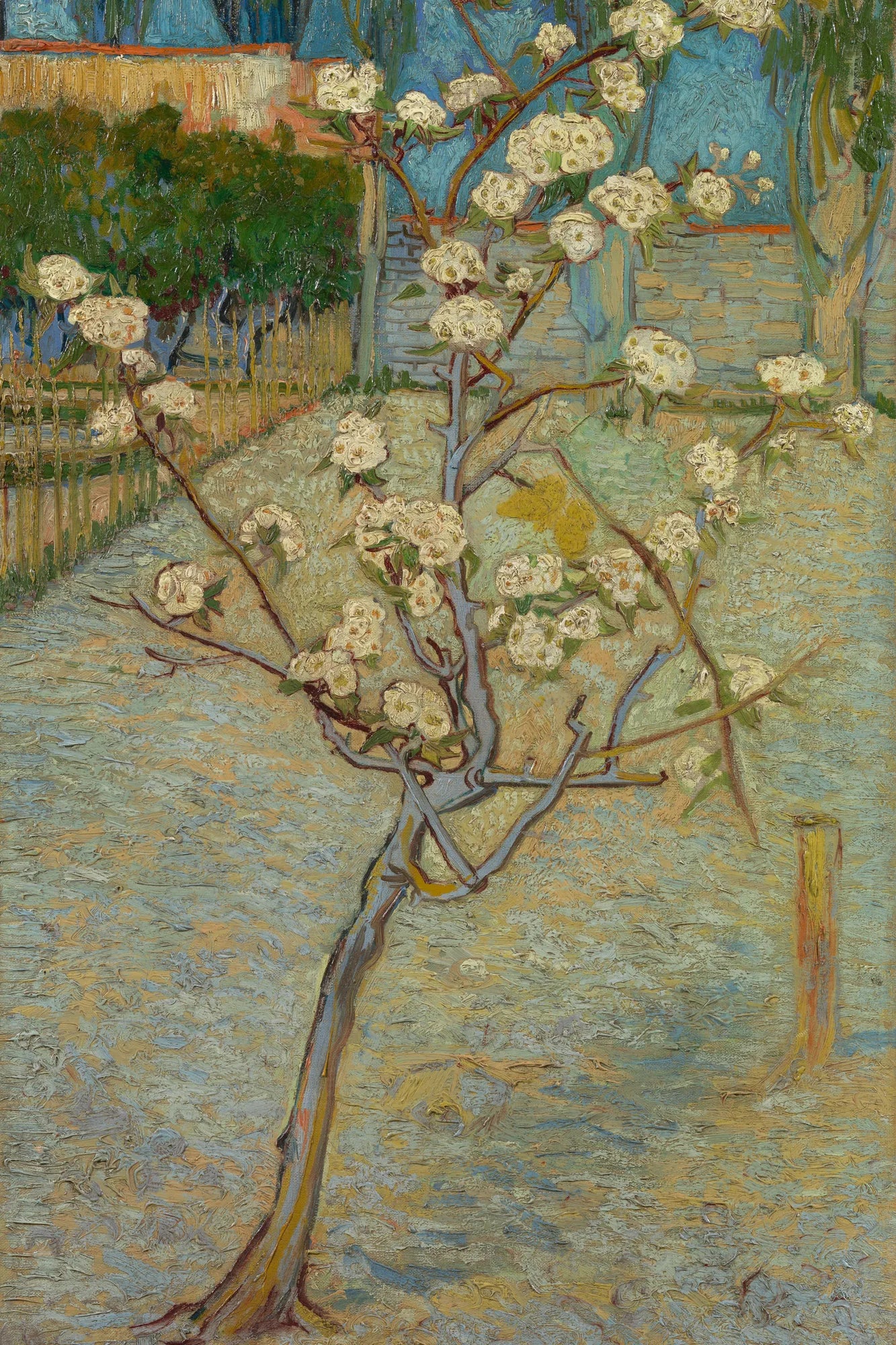 Tableau Petit poirier en fleurs – Vincent van Gogh – reproduction sur toile, format S