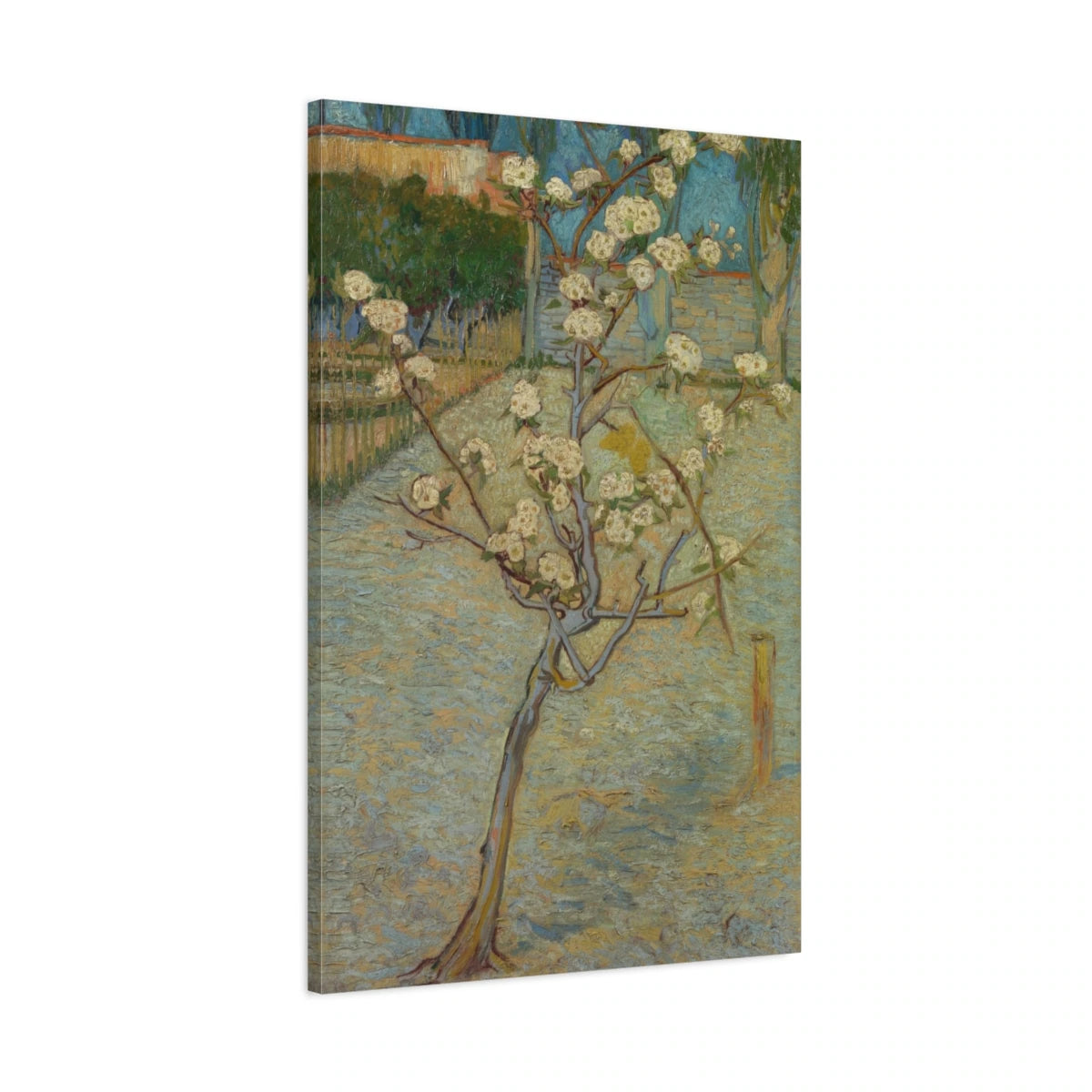 Tableau Petit poirier en fleurs – Vincent van Gogh - toile 3D avec bords imprimés - Art Virtuoso