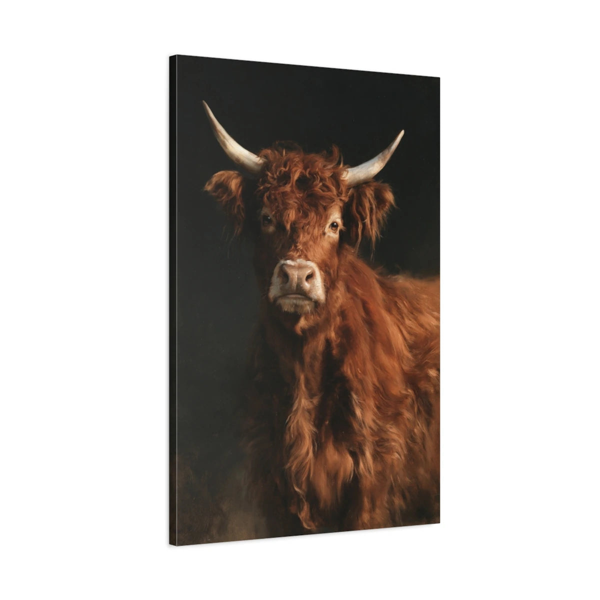 Tableau Portrait Vache Salers, vue latérale de la toile avec bords imprimés - Art Virtuoso