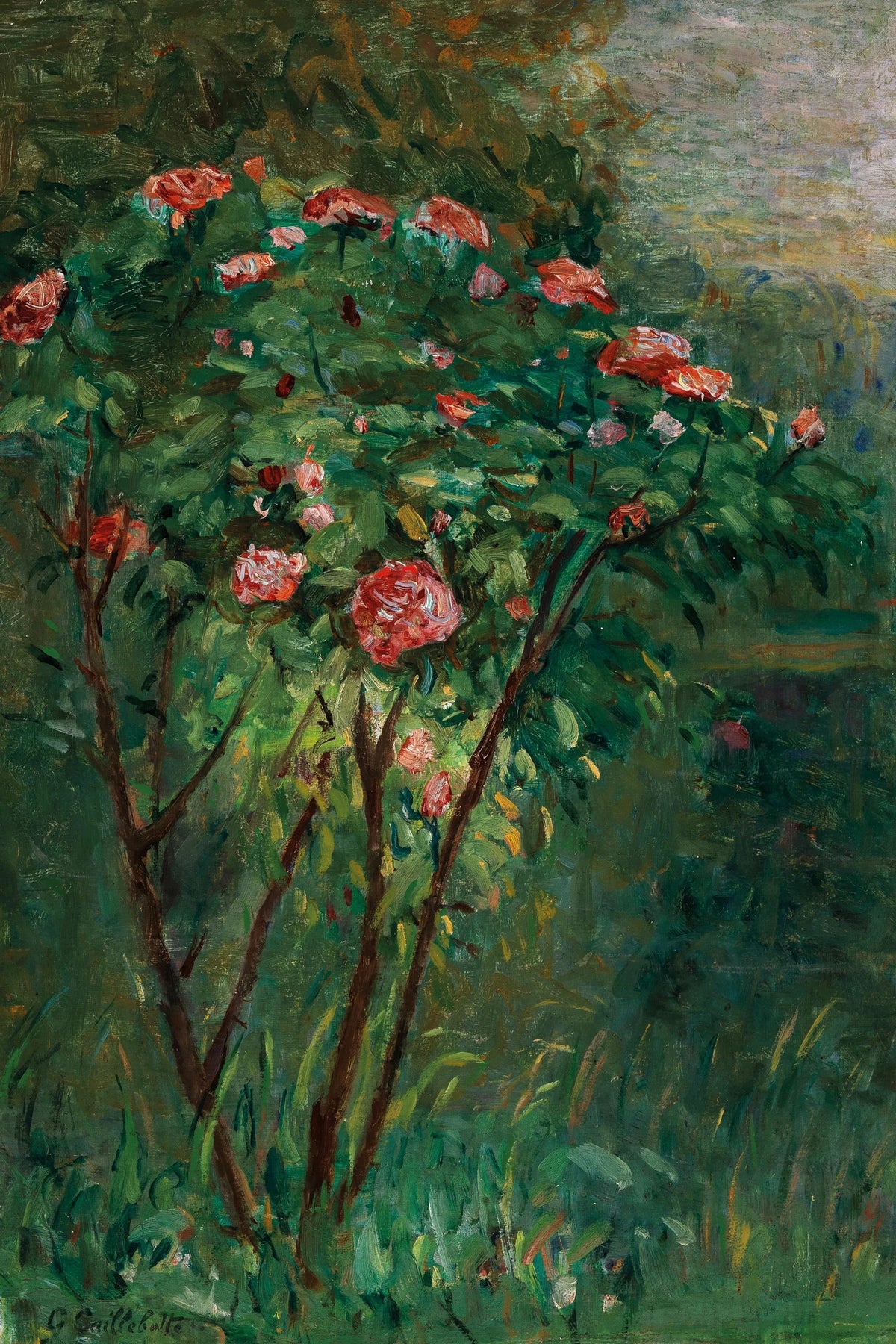 Tableau Le Rosier fleuri – Gustave Caillebotte - impression sur toile, format S