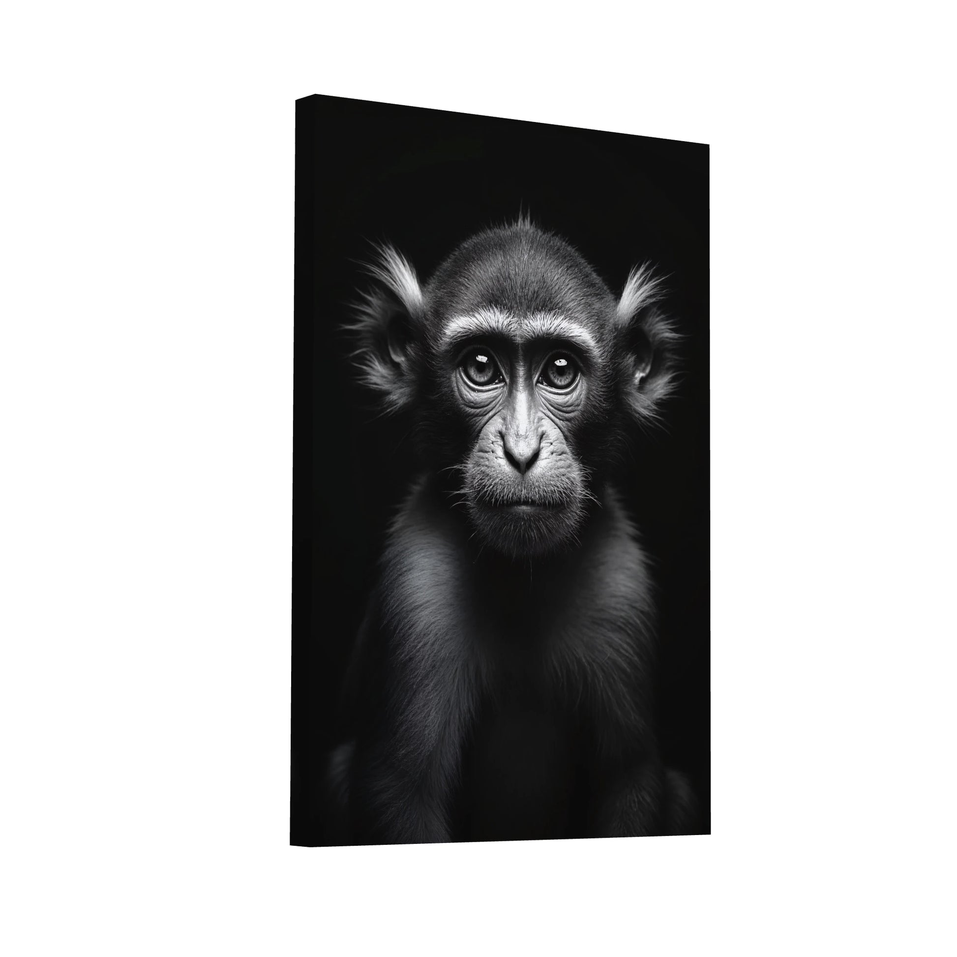 Product Hero 3D WebP Tableau Singe Noir et Blanc - Art Virtuoso