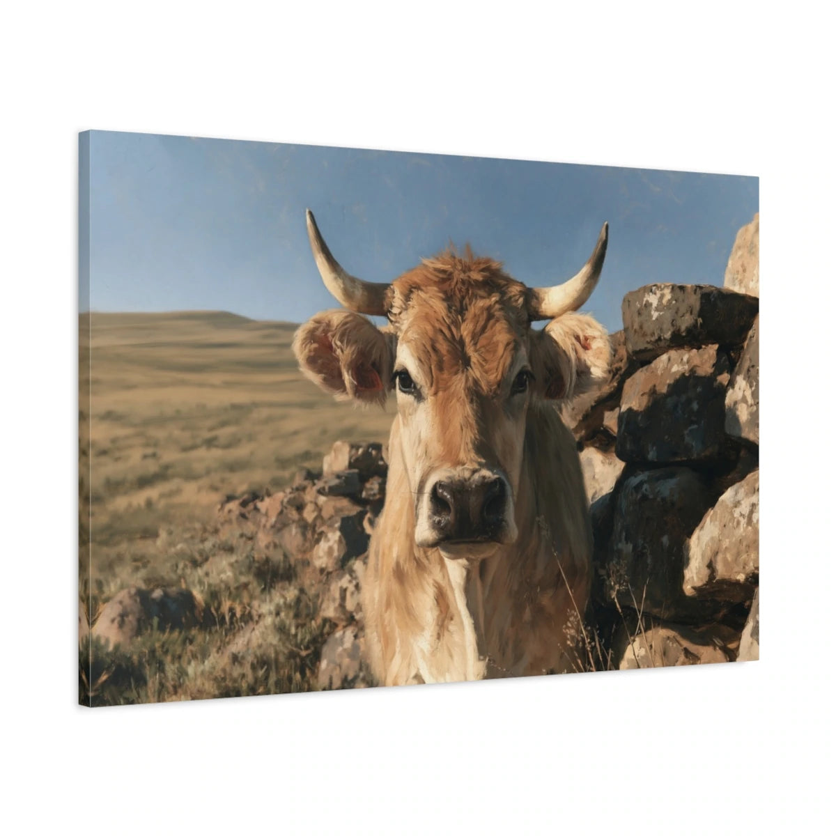 Tableau Vache Aubrac, vue latérale de la toile avec bords imprimés - Art Virtuoso