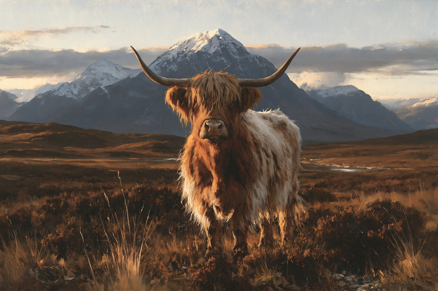 Tableau Vache Highland, Highland rousse, seule sur une lande écossaise balayée par une lumière froide, format L - Art Virtuoso