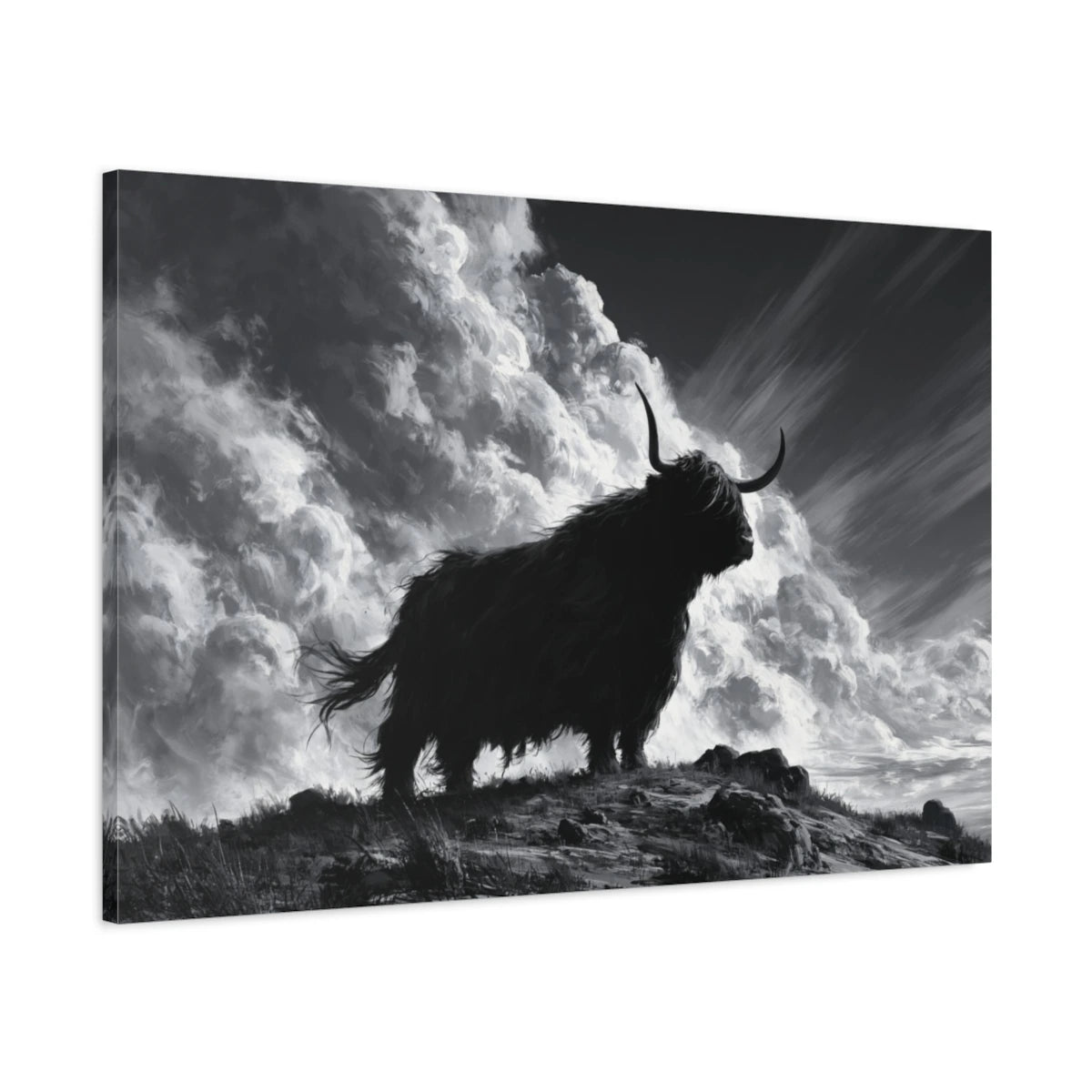 Tableau Vache Highland Noir et Blanc, vue latérale de la toile avec bords imprimés - Art Virtuoso