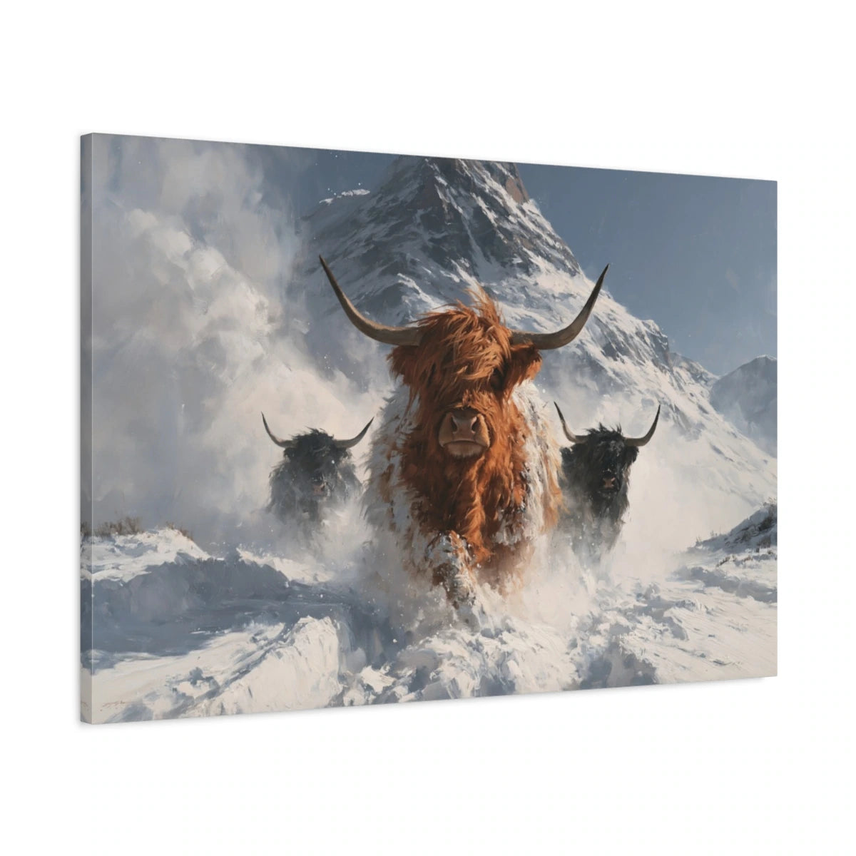 Tableau Vaches Highland dans la Neige, vue latérale de la toile avec bords imprimés - Art Virtuoso