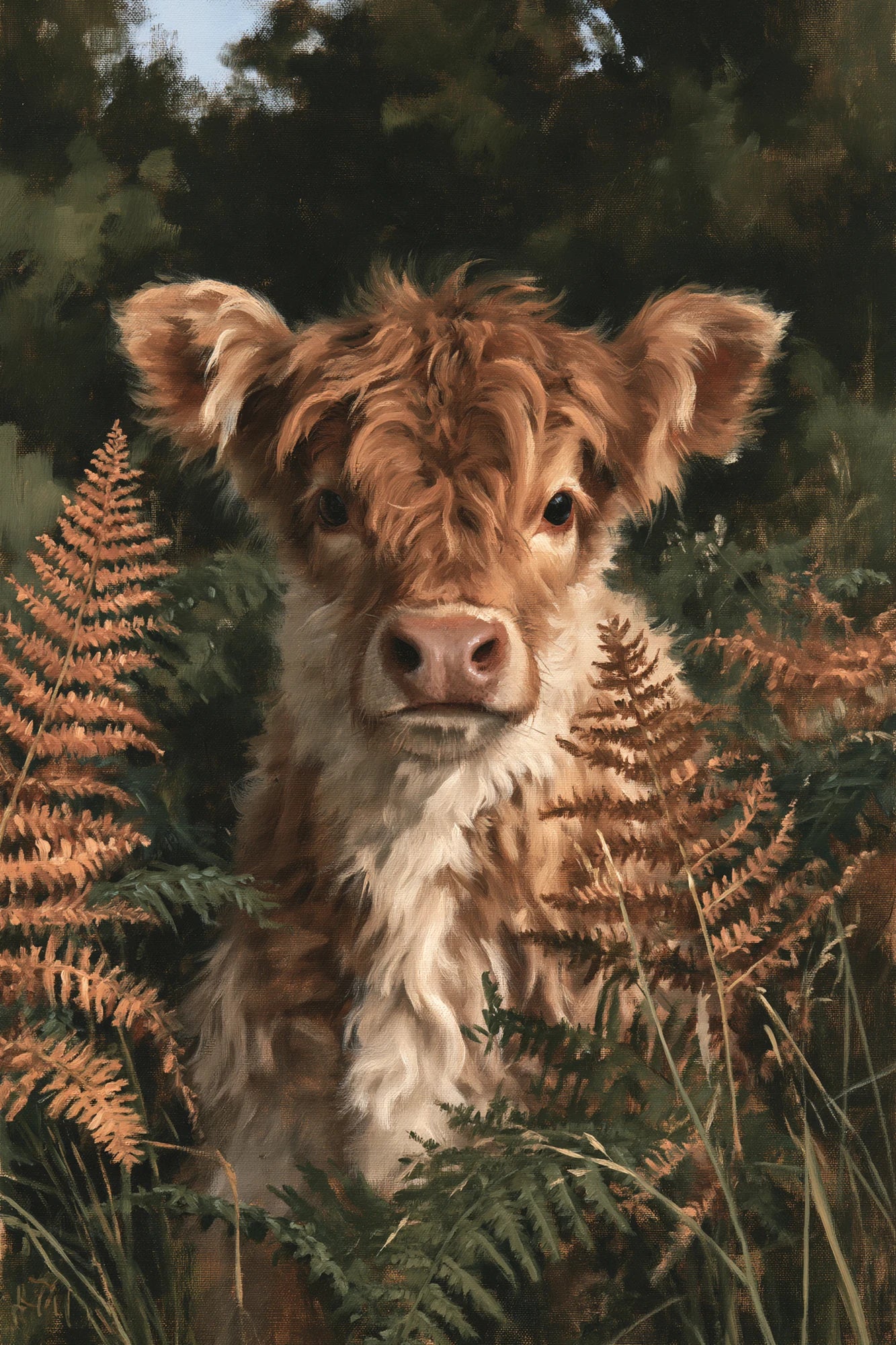 Tableau Veau Highland, jeune veau Highland roux debout parmi des fougères bronzées, format S - Art Virtuoso